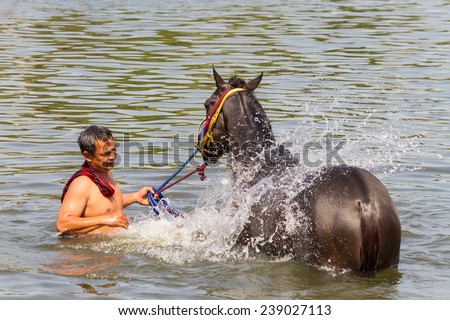 NakhonRatchasima , THAILAND - 19  DECEMBER 2014 bather \'s cleaner, clean the horse races in the pool, on December 19, 2014 in Bangkok , Thailand..