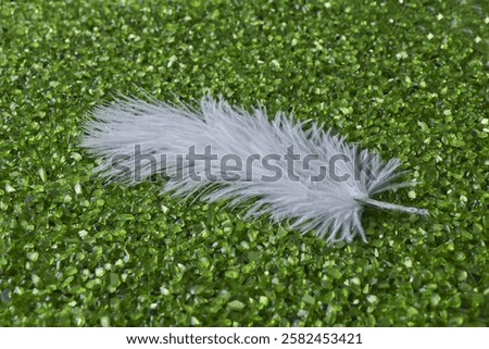 Similar – Image, Stock Photo Pebbles and feathers on table