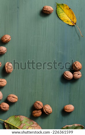 Fresh walnuts background with copy space (negative space). Dark and moody