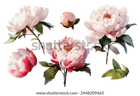 Similar – Foto Bild Rosa Blume Natur Pflanze