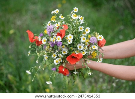 Similar – Image, Stock Photo summer bouquet Environment