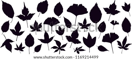 Autumn Leaves Silhouettes | Download Free Vector Art | Free-Vectors