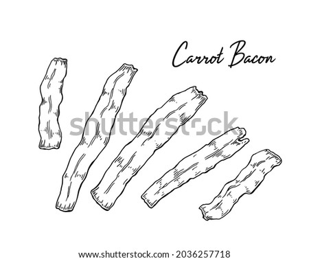 Hand drawn carrot bacon. Vector illustration in sketch style