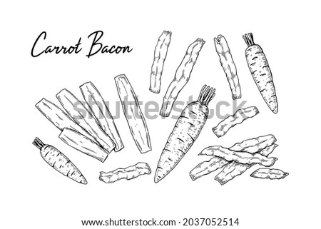 Hand drawn carrot bacon set. Vector illustration in sketch style