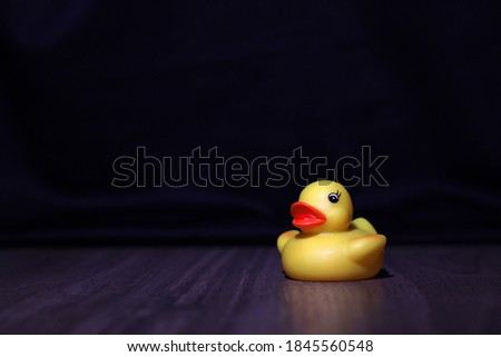 Similar – Image, Stock Photo Child , squeaking duck and bathtub