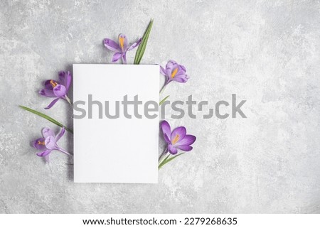 Similar – Image, Stock Photo Layout from crocus flowers