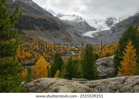 Similar – Image, Stock Photo The Bernina mountain range