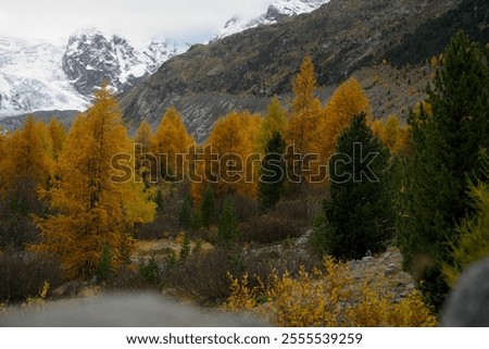 Similar – Image, Stock Photo The Bernina mountain range