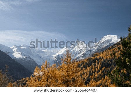 Similar – Image, Stock Photo The Bernina mountain range