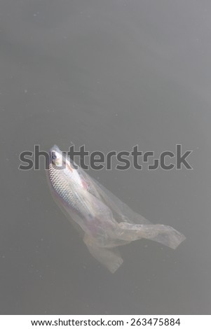 Environmental problem - A fish in the plastic bag in the river