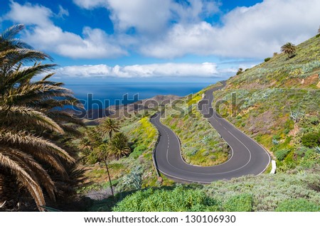 Rural road palm tree white clouds blue sky coast sea view, Alojera, La Gomera, Canary Islands