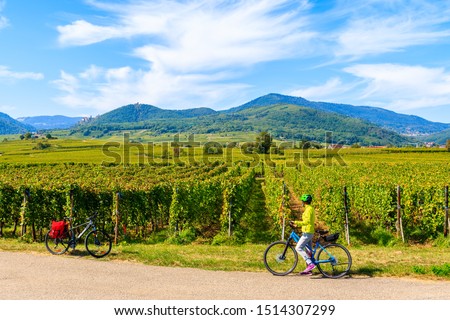 Similar – Image, Stock Photo Way to the vineyards with tree