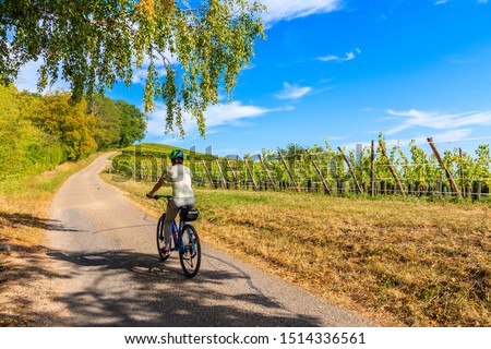 Similar – Image, Stock Photo Way to the vineyards with tree