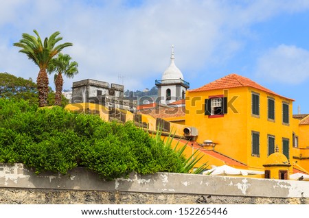 Palm tree historic yellow castle building Fortaleza de Sao Tiago in Funchal town, Madeira island, Portugal