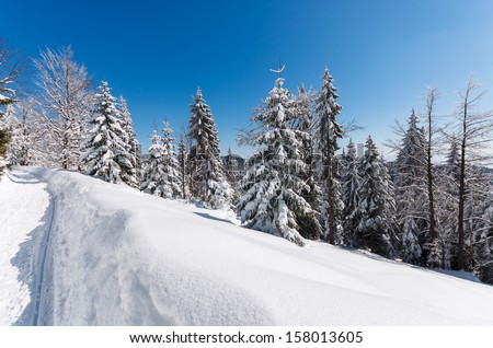 Winter mountain trail snow covered trees landscape, Beskidy Mountains, Turbacz, Poland
