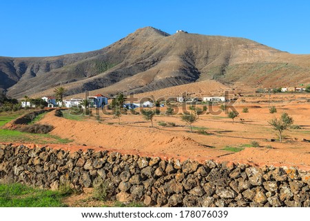 Farming fields in rural area of Tefia village, Fuerteventura, Canary Islands, Spain