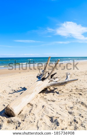 Dry tree trunk sea beach wave coast summer blue sunny sky, Leba, Baltic Sea, Poland