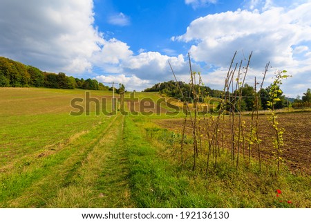 Path on field in farming landscape of Jerzmanowice village near Krakow, Poland