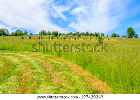 Freshly cut grass on green meadow in summer landscape, Gliczarow Gorny, Tatra Mountains, Poland