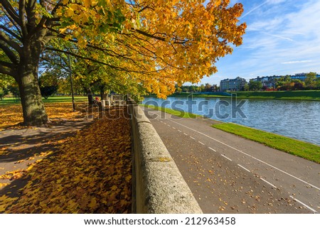 Yellow and orange tree leaves in a park in autumn colors along a Vistula river in Krakow, Poland