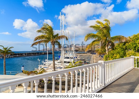 Palm trees in Puerto Calero marina built in Caribbean style, Lanzarote island, Spain