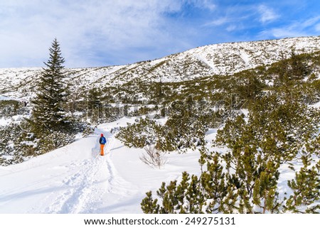 Young woman backpacker tourist walking on hiking trail in winter landscape of Gasienicowa valley, Tatra Mountains, Poland