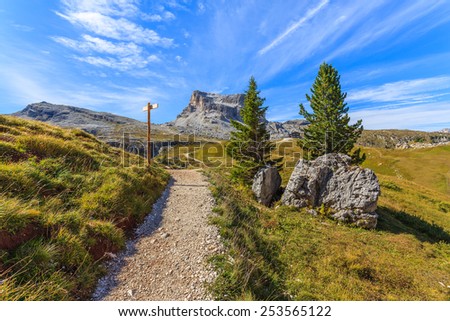Alpine trail near Cinque Torri rock formation, Cortina d\'Ampezzo, Dolomites Mountains, Italy