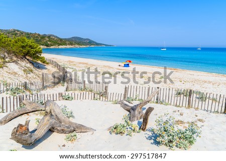 Dry tree trunks on Saleccia beach with azure sea water near Saint Florent, Corsica island, France