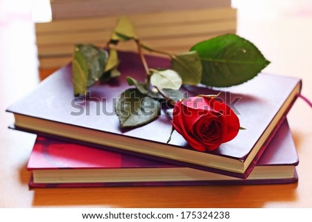 Red roses placed on the purple book And natural light