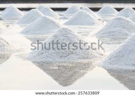 Salt pile in salt farm