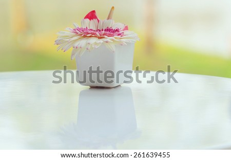 Flower in vase, White Gerbera in white vase, Placed on a white table  at the window, soft focus and blurred background