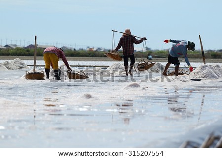 Phetchaburi, Thailand - September 9, 2015: Agriculture in Thailand, Workers working in the salt farm in Phetchaburi, Thailand.