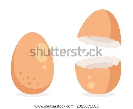 Egg crack broken eggshell open shell isolated concept. Vector design graphic illustration Photo stock © 