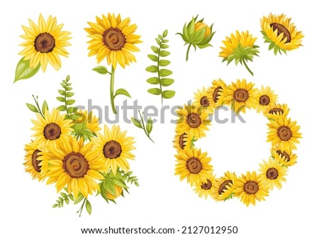 
Vector set of sunflowers. Wreath, elements, and composition of flowers.