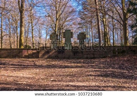 Image, Stock Photo Heidelberg in Winter (3)