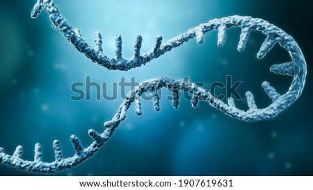 Messenger RNA or mRNA strand 3D rendering illustration with copy space. Genetics, science, medical research, genome replication concepts. Imagine de stoc © 