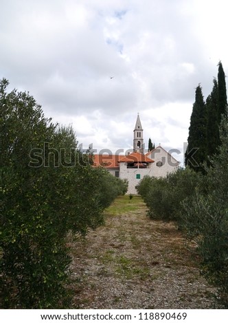 The Franciscan church on the hill above Orebic on the peninsula Peljesac in Croatia with olive trees