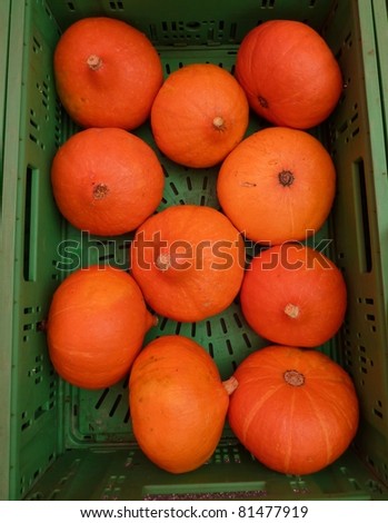 Orange pumpkins in a green container at the vegetable market in summer,