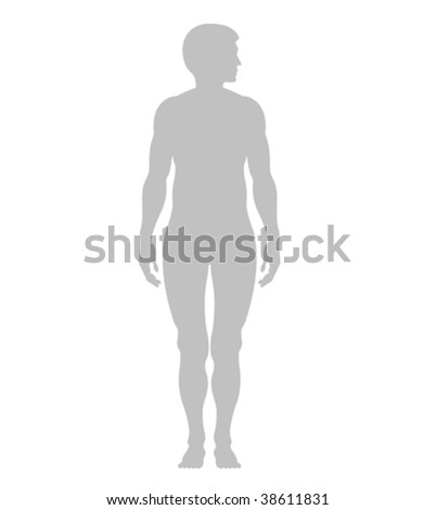 Human Contour In Vector On White Background - 38611831 : Shutterstock