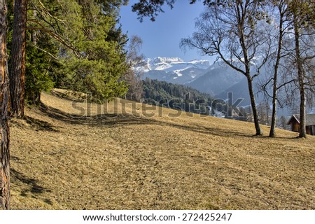 Mountain lodge on brown grass in valley of pine forests and snow-capped peaks in winter