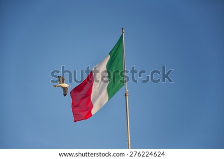 Seagulls (Larinae Rafinesque) flying near Italian flag blowing in the wind: red, white and green in Gallipoli (Lecce) in the South of Italy