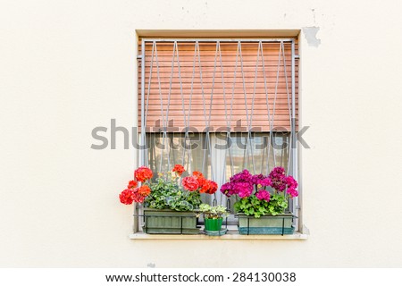 window with iron grating and flower pots: red and fuchsia geranium