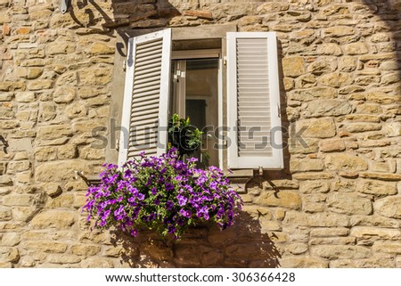 rectangular square window with white shutters and pots of purple hanging petunias