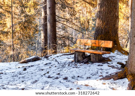 Wood and rock bench in a forest of green pines and firs on Dolomites snowy mountains in winter