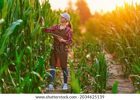 Similar – Image, Stock Photo Crop woman with ripe eggplants