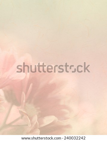 Sweet color soft background blurred style of daisy  flower with paper texture.