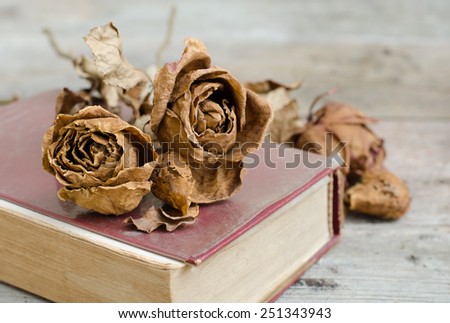 Dry roses on the old book with wood background.