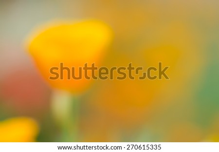 Blurred background of orange flowers, abstract background, nature background.