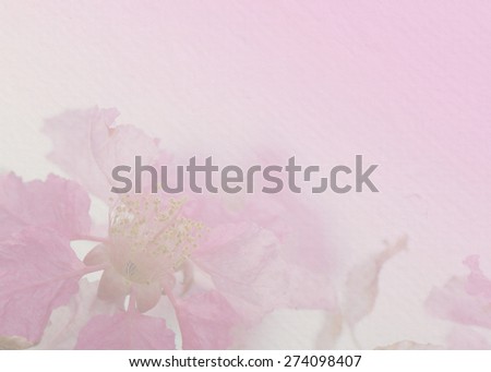 Cananga odorata flowers, tropical flower with paper texture for the soft background