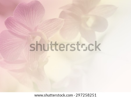 Sweet color soft style of purple dendrobium orchids bouquet for the background.